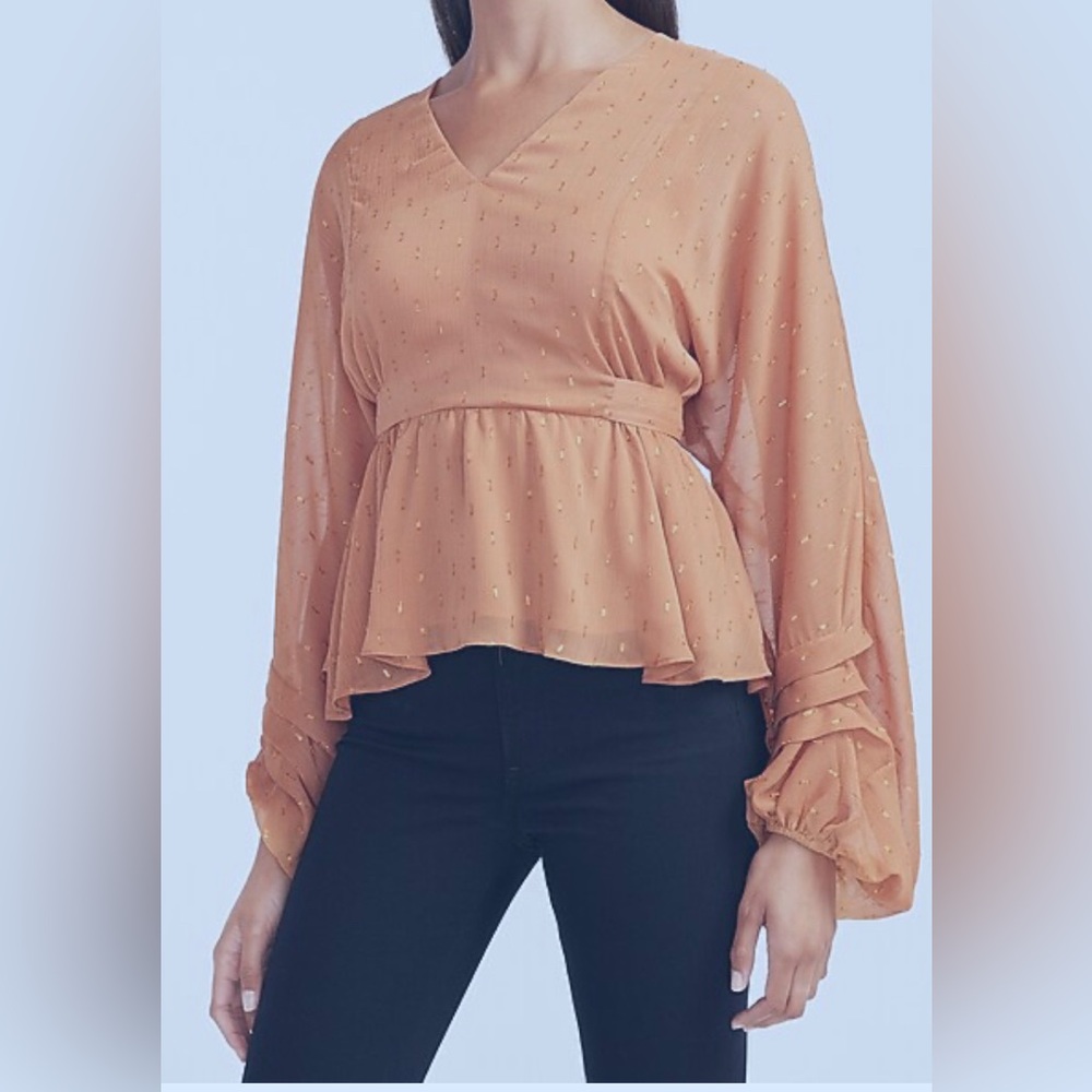 Metallic Clip Dot Tie Back Balloon Sleeve Top -worn twice